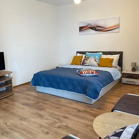 зора-обзор オブゾー