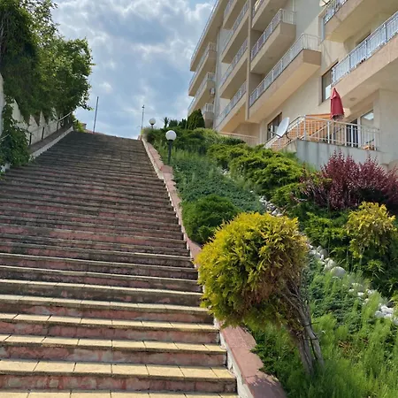 зора-обзор *