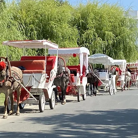 アパート зора-обзор オブゾー