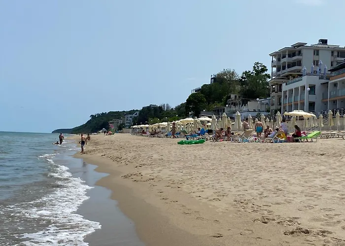 зора-обзор *