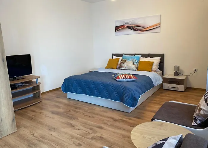 зора-обзор オブゾー