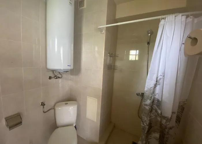 зора-обзор * Обзор