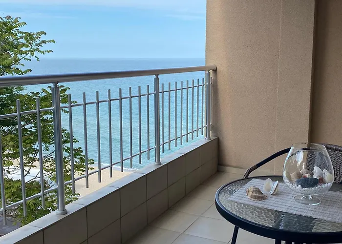 зора-обзор *