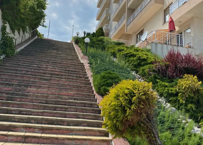 зора-обзор *