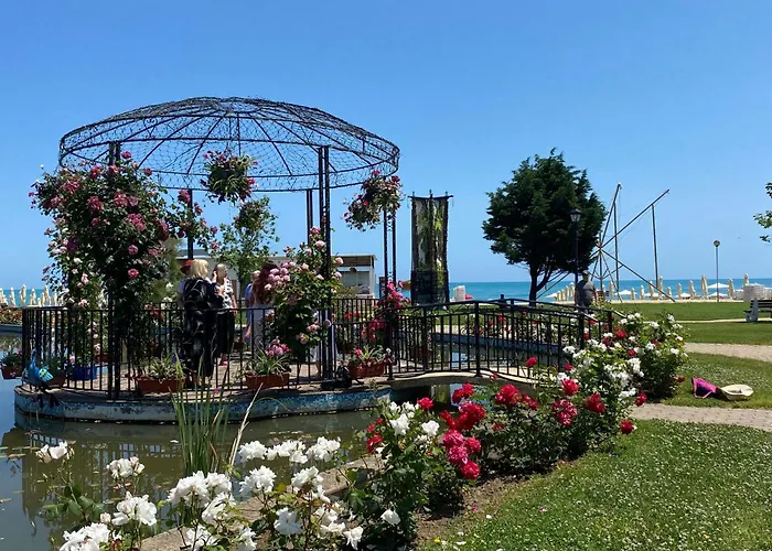 зора-обзор * オブゾー