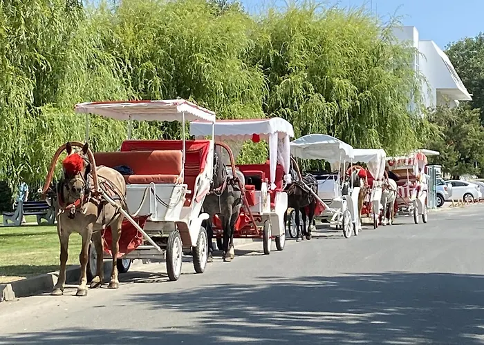 アパート зора-обзор オブゾー